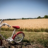 Family Bike Tour